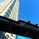 가장큰현대아산약국 이미지