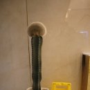 하단덴바스타호텔 이미지