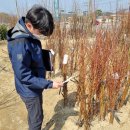 대상유통 이미지