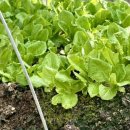 더리터 남원시청점 이미지