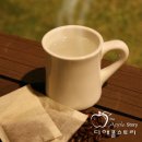 디애플스토리