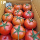 신양로(풍산읍) 이미지