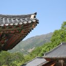 뉴욕핫요가
