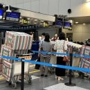 국제고려태권도 이미지