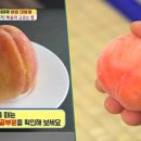 과일대가