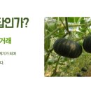 골든농산 이미지