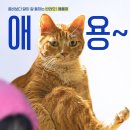 (주)퍼니넷엔터테인먼트 | 좀비딸 손익분기점 평점 박스오피스 1위 300만 바라본다 관람 후기
