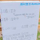 포레스트카페(For Rest cafe)