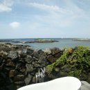 고래하우스 이미지