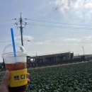 종점순대국 | 제주 올레길 12코스 걷는 중 고산에서 먹은 수월봉가마솥순대국 후기