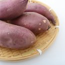 웰스케어 이미지