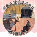 인천 영종도 애견운동장 멜리플루어스 세번째 방문 독채 사용