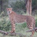 소중한약국 이미지