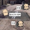 곱대전 이미지