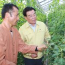 나눔한방허브 이미지