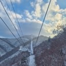 발왕산 관광케이블카 코스 이미지