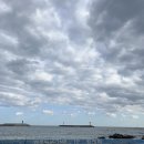 무진장횟집 | 기장 아나고 맛집 연화리 무진장 횟집