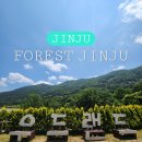 돌하우스 진주점 | [진주] 경남여행 추천 월아산 숲속의 진주 목재문화체험관