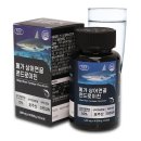 에버그린 이미지