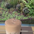 태미목장 이미지