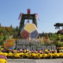 익산 중앙체육공원 천만송이 국화축제(2) 이미지