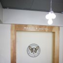 마리오펫 이미지