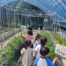 킹스키즈어린이집 이미지