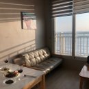 오션스테이 D 이미지