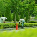 하나조경산업