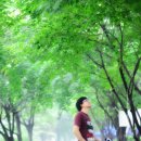 남경오토 이미지