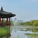 한밭배터리 | 대전 한밭수목원 피크닉 무료 자전거 대여 주말 무료주차 꿀팁