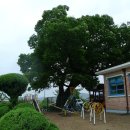 남포초등학교 이미지