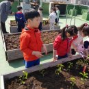 화곡본동주민센터 이미지