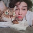 알콩달콩 이미지