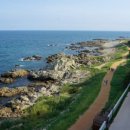 황토바다 이미지