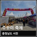 유연선「동백꽃」 | 충남 서천 동백꽃 주꾸미 축제 후기 주차 위치 음식 가격 정리