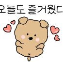 카모터스 이미지