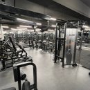 와일드짐 이미지