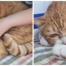 안경만들기사천점 이미지