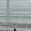 카라트호텔 이미지