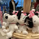 창렬농장 이미지