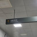 뮤지컬 <오 당신이 잠든 사이> | <프랑켄슈타인 : 더 뮤지컬 콘서트> 후기
