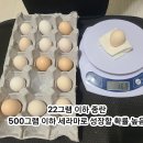 22그램 이미지