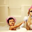 따뜻한 on동물병원 이미지