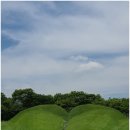 🌿[순천시출장] 순천만국가정원 &amp; 순천만가든마켓, 봄나들이 필수 코스! (2025년 행사 정보 포함) 🌸