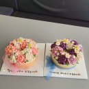 스윗제인케이크