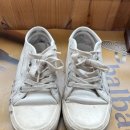 롯데명품세탁 | 포항 명품 신발 세탁 발렌시아가 스니커즈 세탁 후기