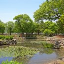 한가로이경주