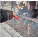 호텔, 서호, 서호 스타벅스, 녹차식당, 비래봉, 영은사(링인쓰), 뇌봉탑, 루위, 상해에서 항저우 가기...