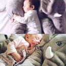 코끼리유통 이미지